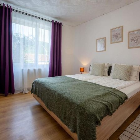 Nya Apartment Sighișoara Zewnętrze zdjęcie