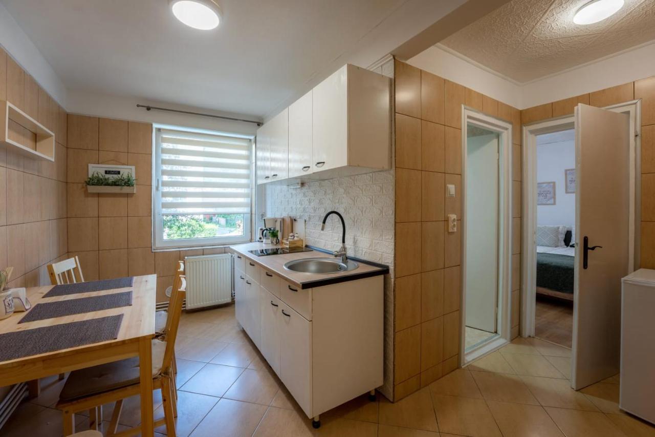 Nya Apartment Sighișoara Zewnętrze zdjęcie